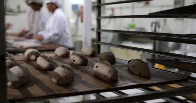 Raw bread dough with raisins resting on a baking sheet, with professional bakers working in the background, preparing food in a commercial kitchen for mass production and distribution