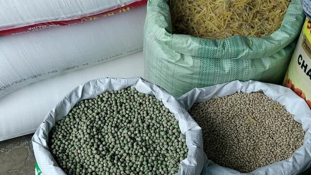 High angle view of bulk agricultural commodities in large woven sacks including dried green peas, whole pulses, and stacks of processed white wheat flour bags resting on a commercial store floor.