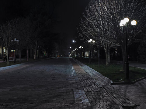 Empty night boulevard lined with globe streetlamps and bare trees in Samarkand Uzbekistan. Deserted pedestrian walkway with cobblestone pavement creates a moody urban scene ideal for travel.