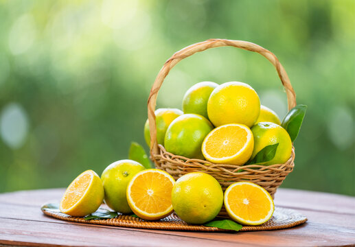 Green Citrus Sinensis orange in basket on green nature background, Perfect visual for healthy food marketing, gourmet ingredient concept.