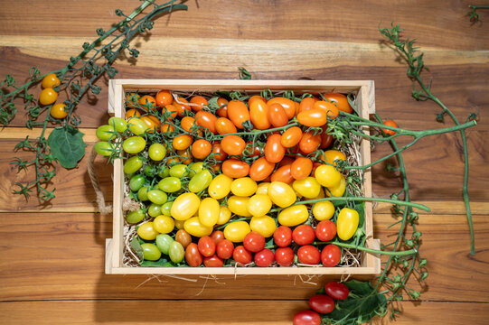 Fresh Colorful premium cherry tomatoes in red, yellow, orange and green tones filling the frame, fresh organic produce concept for healthy eating, vegan diet and farm to table food on wooden table.