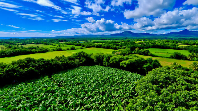 A panoramic view of a lush green landscape with fields trees and mountains in the background under a partly cloudy sky