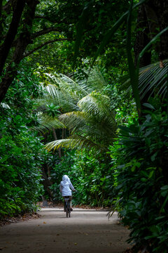 A woman rides a bicycle along a shaded jungle path, Baa Atoll, Soneva Fushi, Maldives