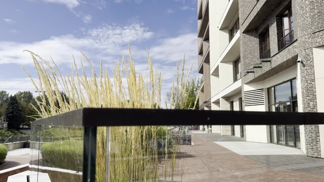Warsaw, Poland, 12 September 2026: Modern residential buildings in the Praga district with tall ornamental grass swaying in the wind, showcasing contemporary landscaping and garden design.