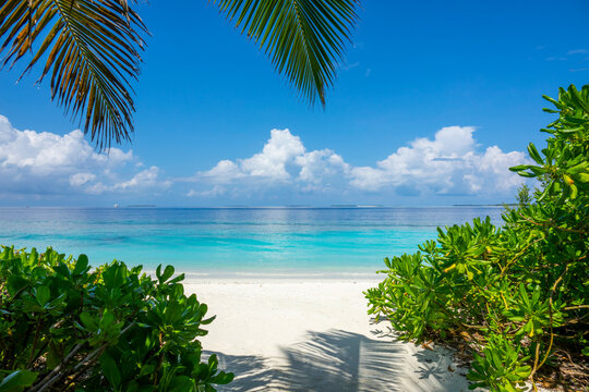 Palm fronds frame a view of a turquoise lagoon and sandy beach path, Baa Atoll, Soneva Fushi, Maldives