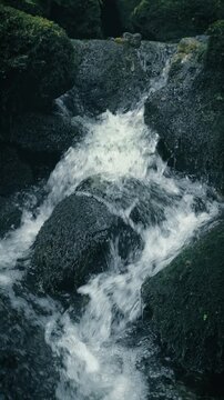 Fresh water of a forest stream flowing in small cascades over dark mossy rocks 