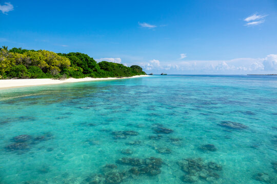Coral reefs are visible beneath the clear water of a lagoon bordered by green trees, Baa Atoll, Soneva Fushi, Maldives