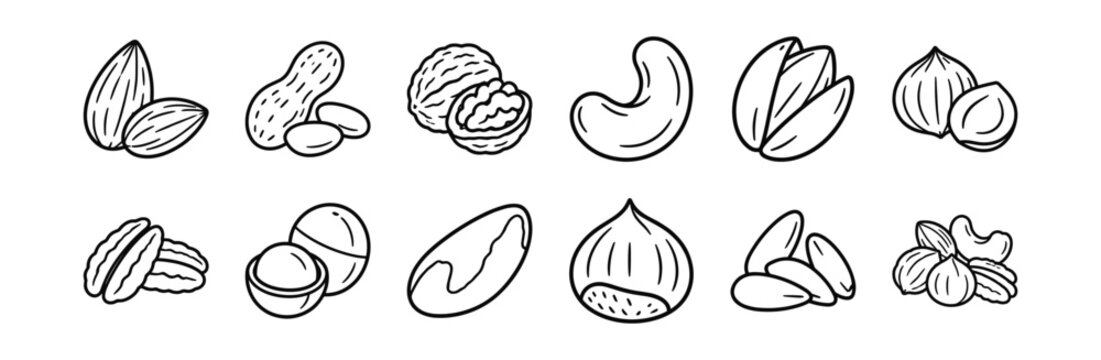 nuts hand-drawn vector icon set for healthy food packaging and nutrition design on transparent background