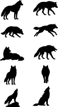 The silhouette of a wolf, wolf icon set