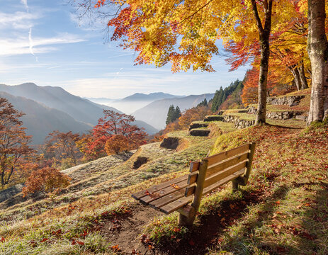 Wooden bench overlooking a mountain valley surrounded by colorful autumn foliage