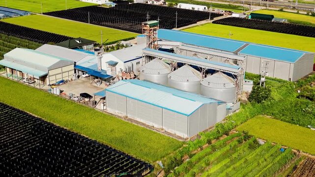 Aerial parallax orbit around rice processing complex with grain silos and blue roofed warehouses, surrounded by ripening paddies and shaded ginseng farms in Geumsan county, South Korea