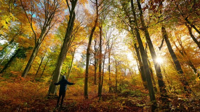 A man standing in a forest, enjoying the autumn sun and taking deep breaths. Connecting with nature on a gorgeous day in the fall season.