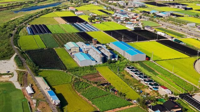 Aerial parallax circling rice processing mill with blue roofed sheds and aeration tank row, set among green and golden paddies, vegetable plots and shaded ginseng beds in Geumsan, South Korea