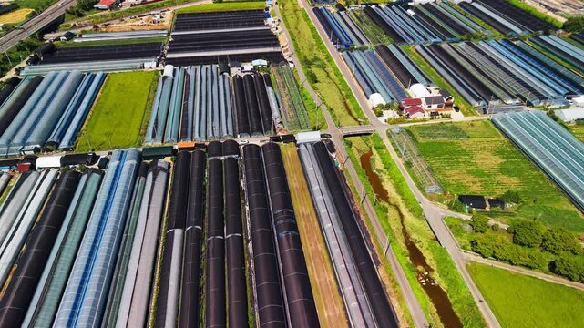 Aerial overhead view of dense rows of black shaded and clear plastic greenhouses split by farm roads small stream and rice fields in Chubu Geumsan South Korea