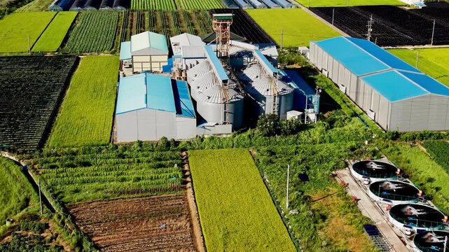 Aerial parallax move around rice processing complex with grain silos, blue roofed warehouses and circular aeration tanks, framed by ripening paddies and shaded ginseng beds in Geumsan, South Korea