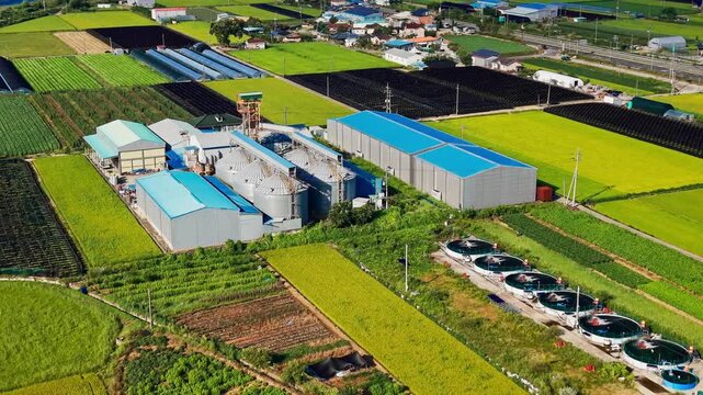Aerial view of rice processing complex with grain silos, blue roofed warehouses and row of circular aeration tanks, surrounded by green paddies and black shaded ginseng beds in Geumsan, South Korea