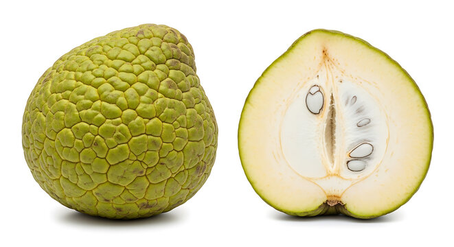 Whole soursop fruit and cross-section revealing edible aril seeds on transparent background