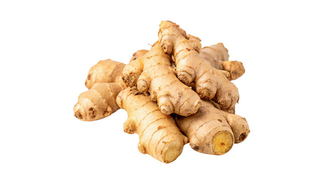 Fresh organic raw ginger root whole piece isolated on transparent background.