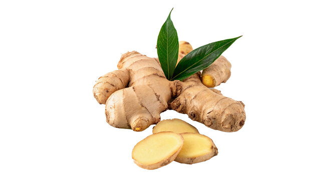 Fresh organic ginger root whole and cut slices isolated on transparent background.