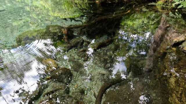 Crystal Clear Water Stream in a Tropical Headwater Forest, Ban Nam Rad, Thailand