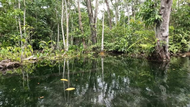 Emerald water stream flowing through a lush tropical headwater forest, Ban Nam Rad, Surat Thani.