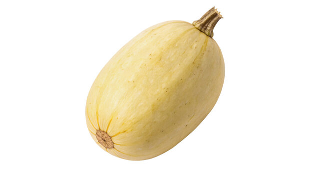 Whole fresh ripe organic yellow spaghetti squash pumpkin isolated on transparent background.