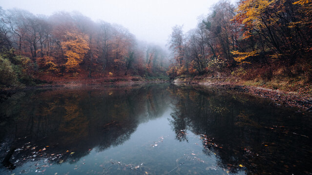 Autumn forest reflecting on a lake with mist