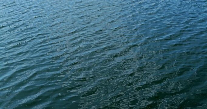 Blue water surface with soft ripples. Blue water surface undulates with small waves and bright reflections. Water moves in tranquil rhythm offering clean natural texture. 