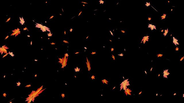 autumn petal overlay with alpha channels or transparent best for decoration like thanksgiving vintage, greeting, message, festival and etc