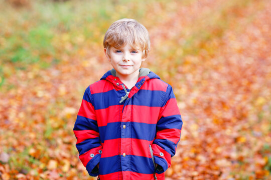 Cute little kid boy on autumn leaves background in park.