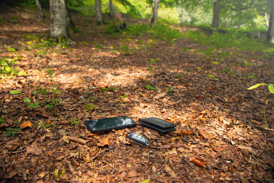Black mobile phone, wallet, car key lost in forest.