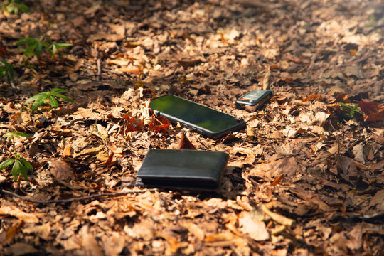 Black mobile phone, wallet, car key lost in forest.