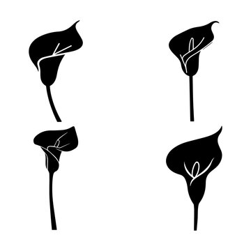Bell Flower Silhouette Collection, Hanging Floral Botanical Black Vector