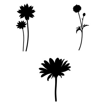 Wildflower Silhouette Collection, Delicate Botanical Black Vector Illustration