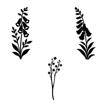 Botanical Plant Silhouette Collection, Delicate Black Floral Vector Illustration