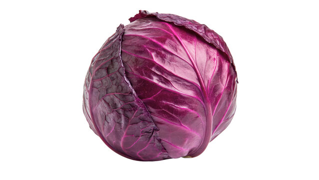 Whole raw organic fresh purple red cabbage vegetable isolated on transparent background.