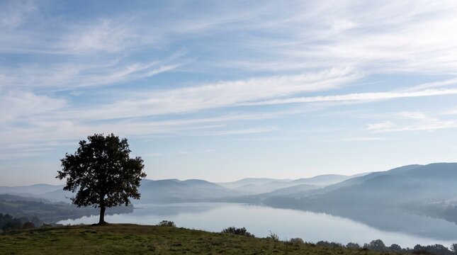 A single tree standing on a grassy hill overlooking a misty lake and distant rolling mountains