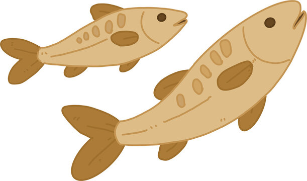 Korean yellow croaker