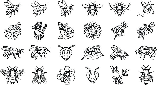 Honey bees and buzzing insects gathering nectar from flowers