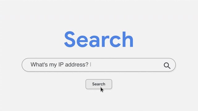 What's my IP Address Search Prompt