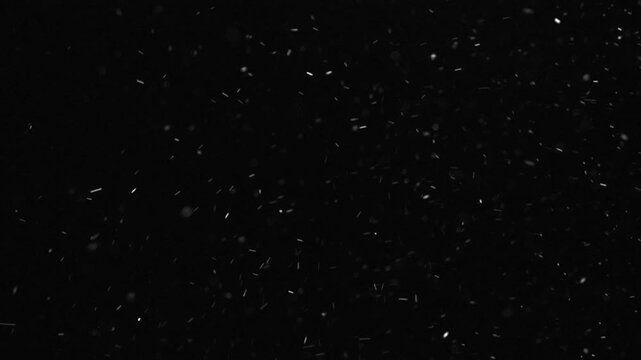 Super slow motion falling snow or dust particles isolated on a black background. Abstract atmospheric SFX overlay with floating debris, cinematic texture and dark visual effect.