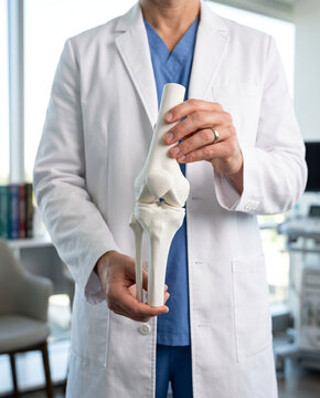 Doctor in white coat holding anatomical human knee joint model for patient education.