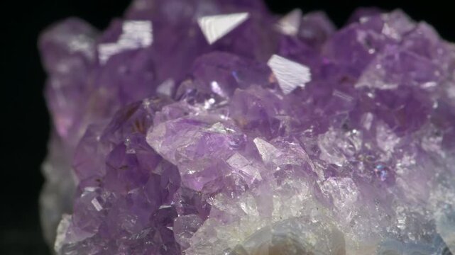 Amethyst (purple quartz) crystals sample against a black background	