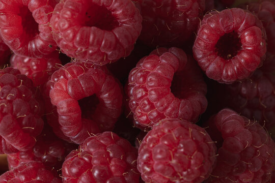 Close up of fresh raspberries creating a vibrant berry background, natural red fruit texture and fresh summer food backdrop