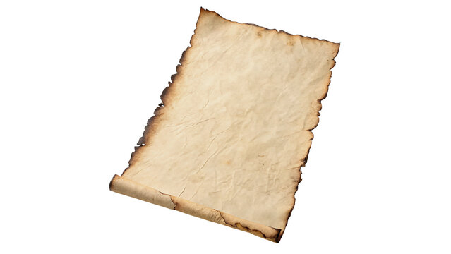 Blank textured piece of antique yellowed parchment scroll isolated on transparent background.
