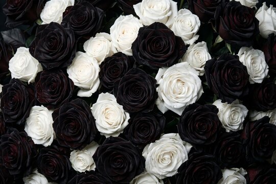 Gothic black and white roses background, elegant monochrome floral pattern, dark romantic rose bouquet for mourning or luxury wedding decor