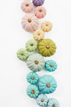 Pastel painted pumpkins creating a colorful gradient on white