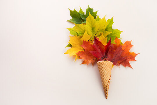 Autumn maple leaves in ice cream cone