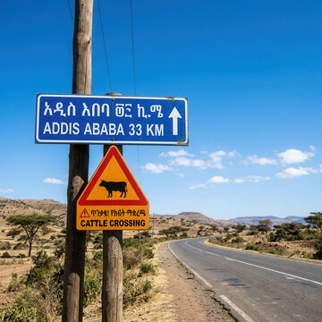Ethiopian Road Signage To Addis Ababa With Cattle Crossing Warning