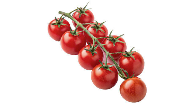 Branch of fresh ripe red cherry tomatoes on dark background